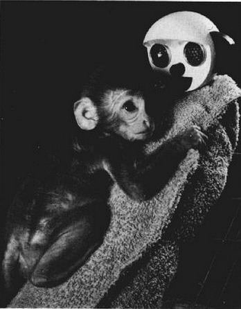 小猴和假妈妈 src: Harlow 1958