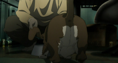 oshii17