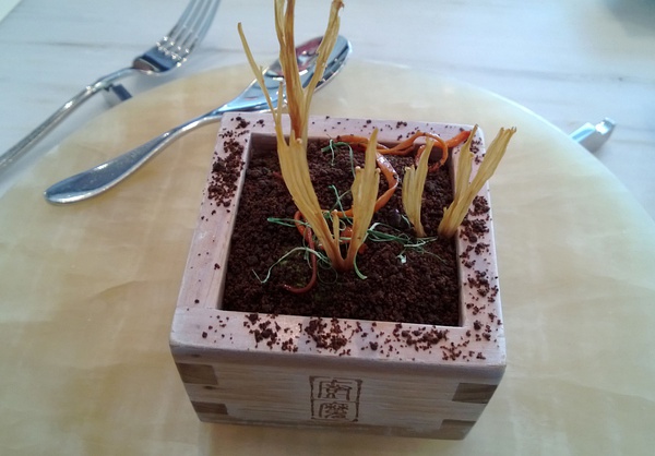 dead garden