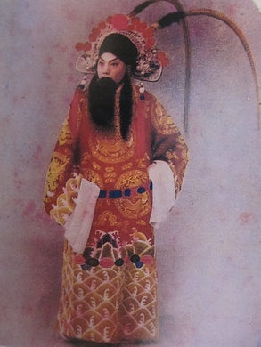 四郎探母  饰杨延辉