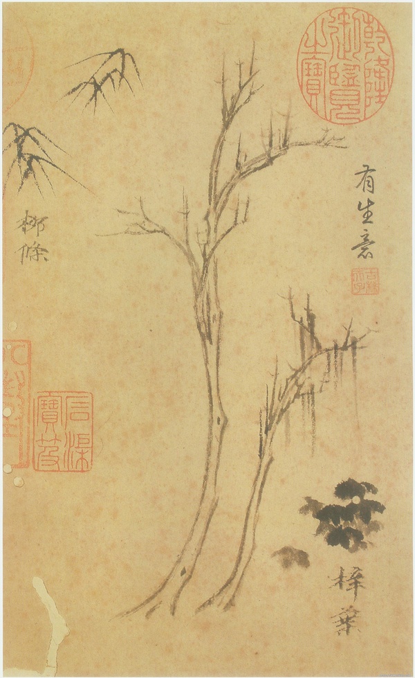 倪云林课徒稿——树法