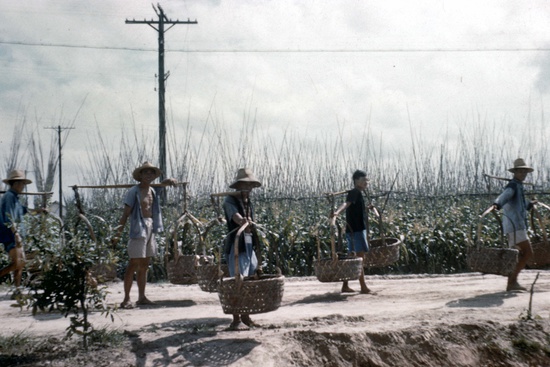 1960年，浙江杭州的农民/Gettyimages